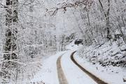 ../galleries/2021.12.11_Spaziergang_Aalbäumle_im_Schnee/DSC_2309.thumbnail.jpg