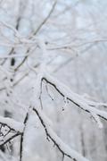 ../galleries/2021.12.11_Spaziergang_Aalbäumle_im_Schnee/DSC_2325.thumbnail.jpg