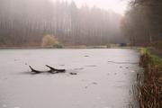 ../galleries/2021.12.27_Weihnachten_Niedernhausen/DSC_2346.thumbnail.jpg