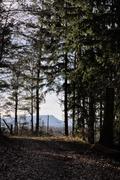 ../galleries/2022.01.01_Wanderung_Weiler_idB/DSC_2417.thumbnail.jpg