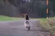 ../galleries/2022.01.01_Wanderung_Weiler_idB/DSC_2451.thumbnail.jpg