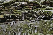 ../galleries/2022.01.06_Wandern_Heubach_Teufelskinge/DSC_2552.thumbnail.jpg