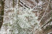 ../galleries/2022.01.06_Wandern_Heubach_Teufelskinge/DSC_2562.thumbnail.jpg