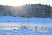 ../galleries/2022.01.08_Spaziergang_Tauchenweiler/DSC_2601.thumbnail.jpg
