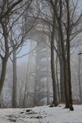 ../galleries/2022.01.16_Spaziergang_Aalbäumle/DSC_2673.thumbnail.jpg