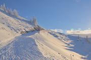 ../galleries/2022.01.22_Rodeln_vom_Hochgrat/DSC_4608.thumbnail.jpg