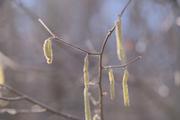 ../galleries/2022.02.28_Wanderung_Neresheim_nach_Burg_Katzenstein/DSC_2724.thumbnail.jpg