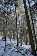 ../galleries/2022.04.11_Urlaub_Schönau_Königssee_-_Tag_2_-_Wanderung_Grünstein/DSC_2806.thumbnail.jpg