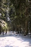 ../galleries/2022.04.11_Urlaub_Schönau_Königssee_-_Tag_2_-_Wanderung_Grünstein/DSC_2825.thumbnail.jpg