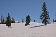 ../galleries/2022.04.11_Urlaub_Schönau_Königssee_-_Tag_2_-_Wanderung_Grünstein/DSC_2830.thumbnail.jpg