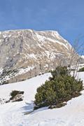 ../galleries/2022.04.12_Urlaub_Schönau_Königssee_-_Tag_3_-_Wanderung_Jenner/DSC_2856.thumbnail.jpg
