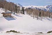 ../galleries/2022.04.12_Urlaub_Schönau_Königssee_-_Tag_3_-_Wanderung_Jenner/DSC_2867.thumbnail.jpg