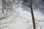 ../galleries/2022.04.12_Urlaub_Schönau_Königssee_-_Tag_3_-_Wanderung_Jenner/DSC_2898.thumbnail.jpg