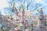 ../galleries/2022.04.14_Urlaub_Schönau_Königssee_-_Tag_5_-_Salzburg/DSC_2940.thumbnail.jpg