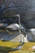 ../galleries/2022.08.21_Zoo_Wilhelma_Stuttgart/DSC_3738.thumbnail.jpg