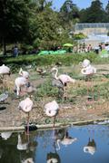 ../galleries/2022.08.21_Zoo_Wilhelma_Stuttgart/DSC_3756.thumbnail.jpg