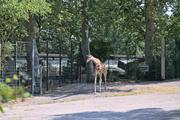 ../galleries/2022.08.21_Zoo_Wilhelma_Stuttgart/DSC_3802.thumbnail.jpg