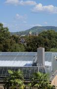../galleries/2022.08.21_Zoo_Wilhelma_Stuttgart/DSC_3833.thumbnail.jpg