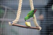 ../galleries/2022.08.21_Zoo_Wilhelma_Stuttgart/DSC_3859.thumbnail.jpg