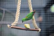 ../galleries/2022.08.21_Zoo_Wilhelma_Stuttgart/DSC_3867.thumbnail.jpg