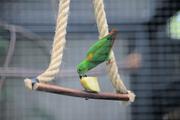 ../galleries/2022.08.21_Zoo_Wilhelma_Stuttgart/DSC_3868.thumbnail.jpg