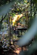 ../galleries/2022.08.21_Zoo_Wilhelma_Stuttgart/DSC_3900.thumbnail.jpg