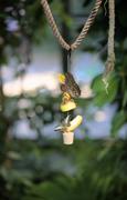 ../galleries/2022.08.21_Zoo_Wilhelma_Stuttgart/DSC_3932.thumbnail.jpg