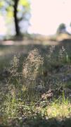 ../galleries/2022.09.04_Urlaub_Amrum_-_Tag_2_-_Spaziergang_Heide/DSC_4053.thumbnail.jpg