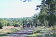 ../galleries/2022.09.04_Urlaub_Amrum_-_Tag_2_-_Spaziergang_Heide/DSC_4076.thumbnail.jpg