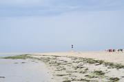 ../galleries/2022.09.07_Urlaub_Amrum_-_Tag_5_-_Strand/DSC_4281.thumbnail.jpg