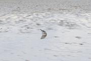 ../galleries/2022.09.07_Urlaub_Amrum_-_Tag_5_-_Strand/DSC_4289.thumbnail.jpg