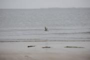 ../galleries/2022.09.07_Urlaub_Amrum_-_Tag_5_-_Strand/DSC_4350.thumbnail.jpg