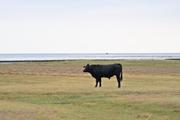 ../galleries/2022.09.07_Urlaub_Amrum_-_Tag_5_-_Strand/DSC_4384.thumbnail.jpg