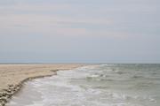 ../galleries/2022.09.08_Urlaub_Amrum_-_Tag_6_-_Wittdün/DSC_4442.thumbnail.jpg