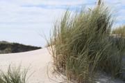 ../galleries/2022.09.10_Urlaub_Amrum_-_Tag_8_-_Dünenwanderweg_und_Sonnenuntergang/DSC_4622.thumbnail.jpg