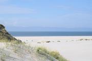 ../galleries/2022.09.10_Urlaub_Amrum_-_Tag_8_-_Dünenwanderweg_und_Sonnenuntergang/DSC_4633.thumbnail.jpg