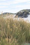 ../galleries/2022.09.10_Urlaub_Amrum_-_Tag_8_-_Dünenwanderweg_und_Sonnenuntergang/DSC_4634.thumbnail.jpg