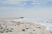 ../galleries/2022.09.10_Urlaub_Amrum_-_Tag_8_-_Dünenwanderweg_und_Sonnenuntergang/DSC_4657.thumbnail.jpg