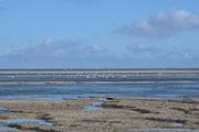 ../galleries/2022.09.11_Urlaub_Amrum_-_Tag_9_-_Nordspitze/DSC_4706.thumbnail.jpg