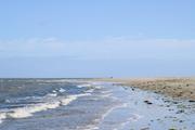 ../galleries/2022.09.13_Urlaub_Amrum_-_Tag_11_-_Nordspitze/DSC_4728.thumbnail.jpg