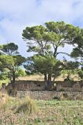 ../galleries/2022.10.16_Urlaub_Mallorca_-_Tag_2_-_Llevant_Rundwanderung/DSC_5016.thumbnail.jpg