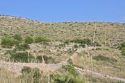 ../galleries/2022.10.16_Urlaub_Mallorca_-_Tag_2_-_Llevant_Rundwanderung/DSC_5018.thumbnail.jpg