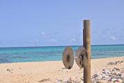 ../galleries/2022.10.16_Urlaub_Mallorca_-_Tag_2_-_Llevant_Rundwanderung/DSC_5041.thumbnail.jpg