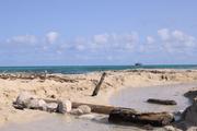 ../galleries/2022.10.16_Urlaub_Mallorca_-_Tag_2_-_Llevant_Rundwanderung/DSC_5044.thumbnail.jpg