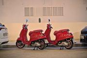 ../galleries/2022.10.18_Urlaub_Mallorca_-_Tag_4_-_Strand/DSC_5323.thumbnail.jpg