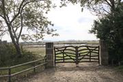 ../galleries/2022.10.19_Urlaub_Mallorca_-_Tag_5_-_Parc_Natural_de_s_Albufera_de_Mallorca/DSC_5115.thumbnail.jpg