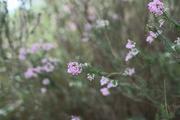 ../galleries/2022.10.20_Urlaub_Mallorca_-_Tag_6_-_Buchten_Llevant/DSC_5156.thumbnail.jpg