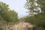../galleries/2022.10.20_Urlaub_Mallorca_-_Tag_6_-_Buchten_Llevant/DSC_5157.thumbnail.jpg
