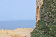 ../galleries/2022.10.20_Urlaub_Mallorca_-_Tag_6_-_Buchten_Llevant/DSC_5184.thumbnail.jpg