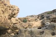../galleries/2022.10.20_Urlaub_Mallorca_-_Tag_6_-_Buchten_Llevant/DSC_5222.thumbnail.jpg